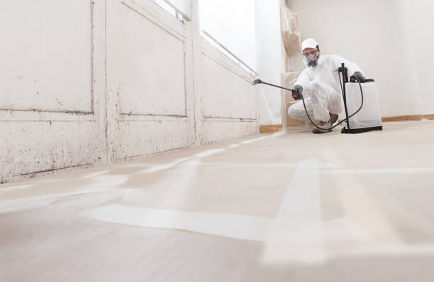 24/7 Emergency Mold Remediation experts in Marion, VA