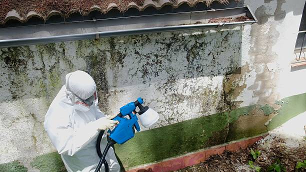 Top rated local Mold Remediation specialists in Marion, VA